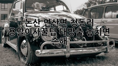 논산 연산면 청동리 용달이사🚚꿀팁 대방출! 놓치면 손해🤫